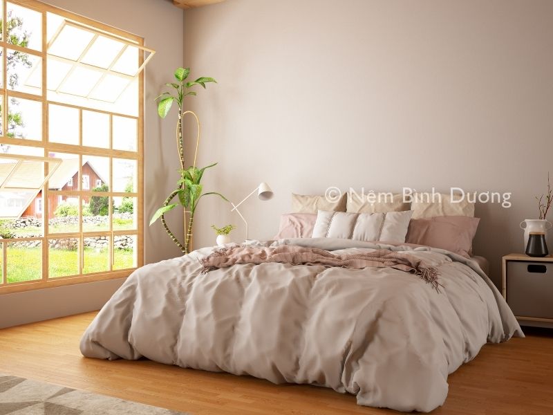 Dị ứng phòng ngủ là gì? Cách khắc phục hiệu quả 1 Dị ứng phòng ngủ là gì? Cách khắc phục hiệu quả