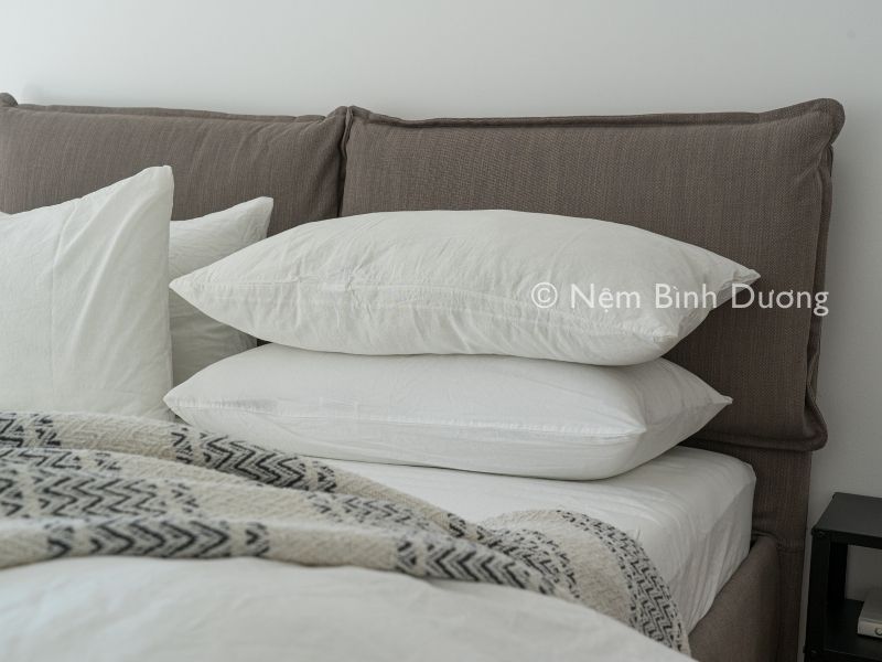 Giải đáp: gối ngủ ảnh hưởng đến sức khỏe như thế nào? Cách lựa chọn gối ngủ phù hợp