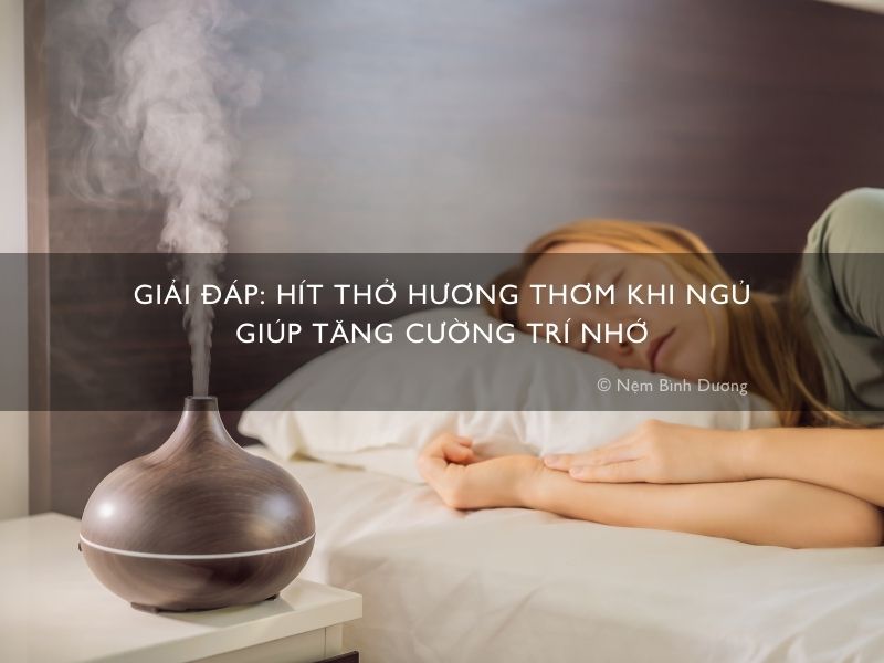 Giải đáp: hít thở hương thơm khi ngủ giúp tăng cường trí nhớ
