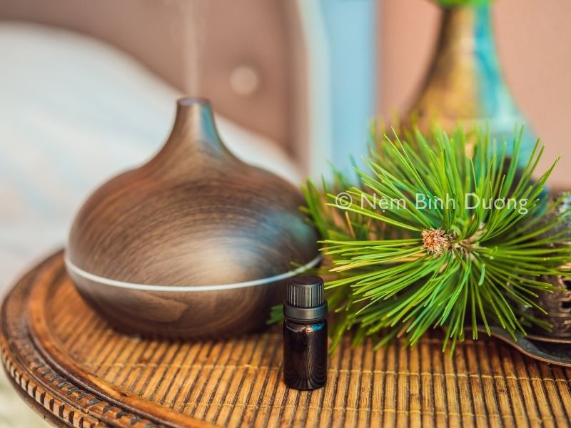 Giải đáp: hít thở hương thơm khi ngủ giúp tăng cường trí nhớ 1 Giải đáp: hít thở hương thơm khi ngủ giúp tăng cường trí nhớ