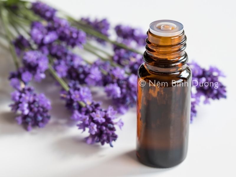 Giải đáp: hít thở hương thơm khi ngủ giúp tăng cường trí nhớ 3 Giải đáp: hít thở hương thơm khi ngủ giúp tăng cường trí nhớ