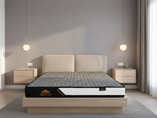 Nệm ép Tổng Hợp Kim Cương Eumixed Plus