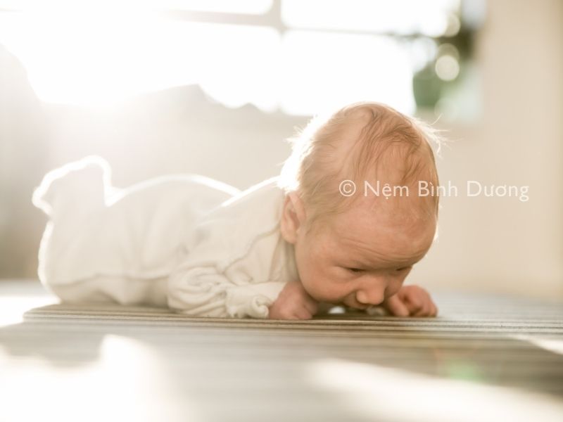 Có nên cho trẻ sơ sinh nằm sấp không? Kinh nghiệm cho trẻ sơ sinh nằm sấp 2 Có nên cho trẻ sơ sinh nằm sấp không? Kinh nghiệm cho trẻ sơ sinh nằm sấp