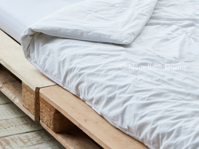 Lời khuyên cho những ai đang phân vân có nên mua giường pallet hay không?