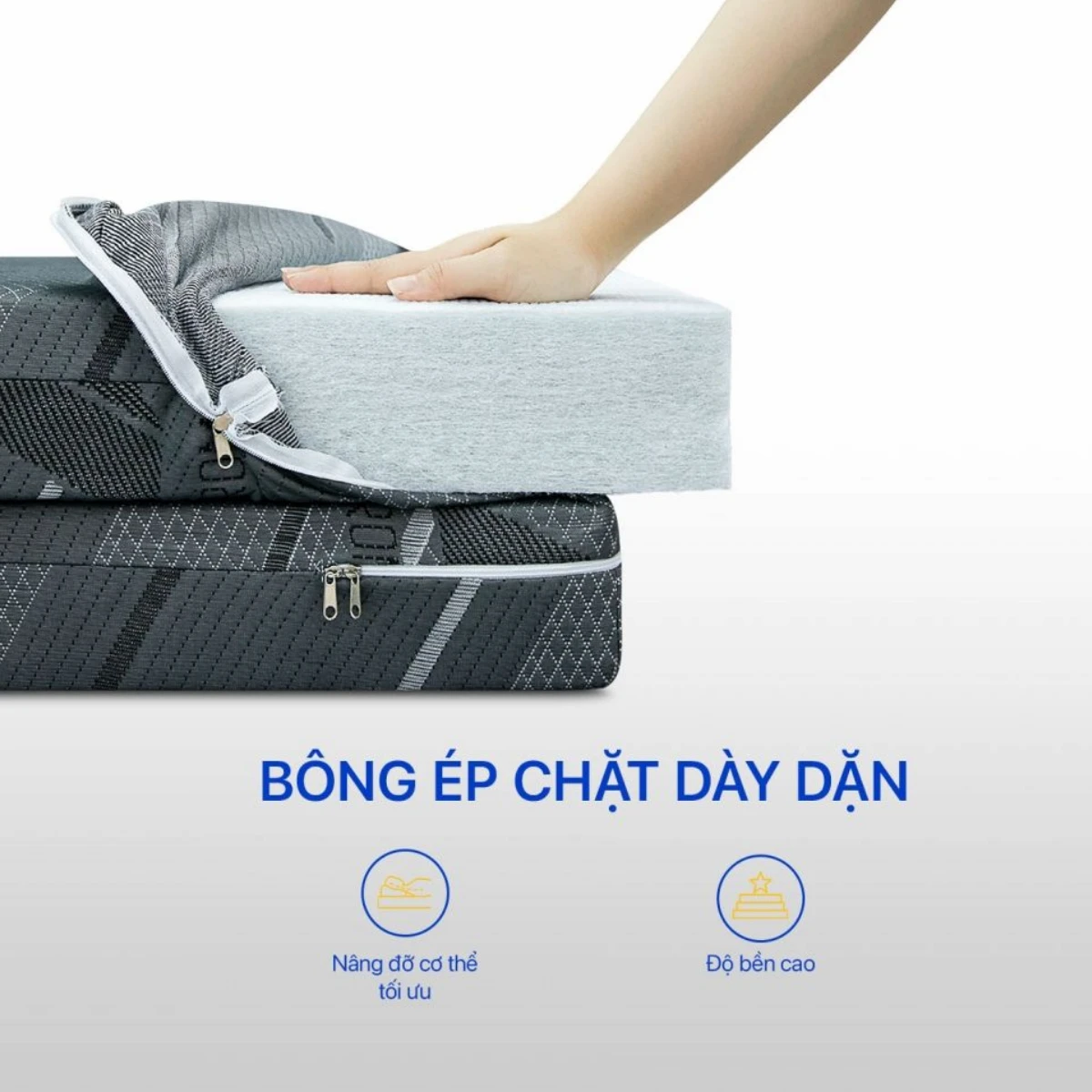 Nệm bông ép Aroma HT 4 Nệm bông ép Aroma HT