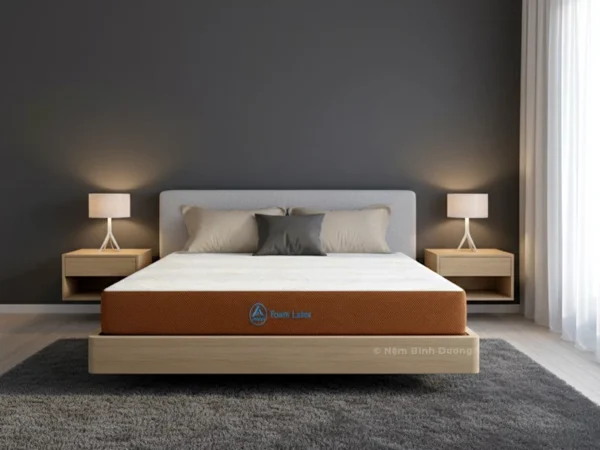 Nệm Cao Su Aroma Foam Latex 111 Nệm Cao Su Aroma Foam Latex