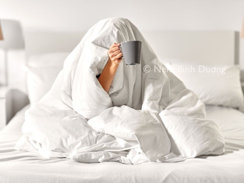 Lý giải vì sao một số người đi ngủ phải đắp chăn bất kể thời tiết như thế nào? 2 Lý giải vì sao một số người đi ngủ phải đắp chăn bất kể thời tiết như thế nào?
