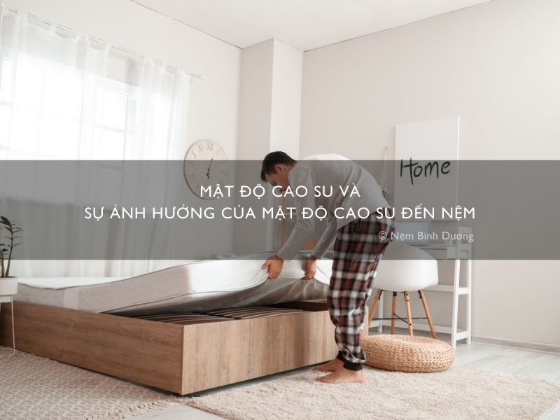 Mật độ cao su và sự ảnh hưởng của mật độ cao su đến nệm