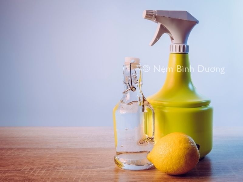 15+ cách đuổi kiến hiệu quả nhất dễ dàng áp dụng
