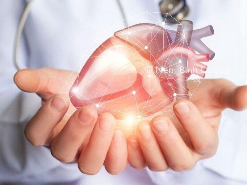 Tầm quan trọng của giấc ngủ ảnh hưởng tới sức khỏe tim mạch