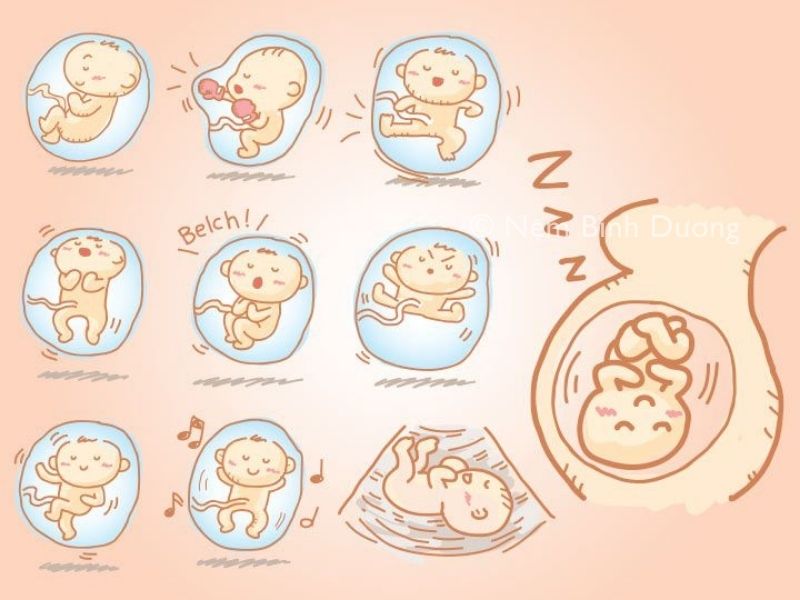 Thai máy là thế nào? 1 Thai máy là thế nào?