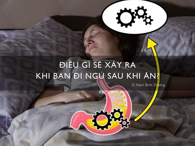 Điều gì sẽ xảy ra khi bạn đi ngủ sau khi ăn?