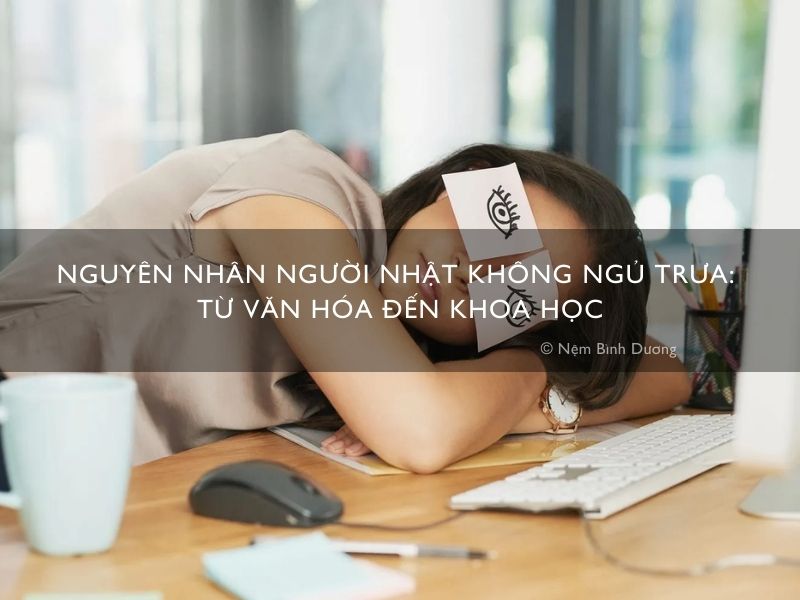Nguyên nhân người nhật không ngủ trưa: từ văn hóa đến khoa học