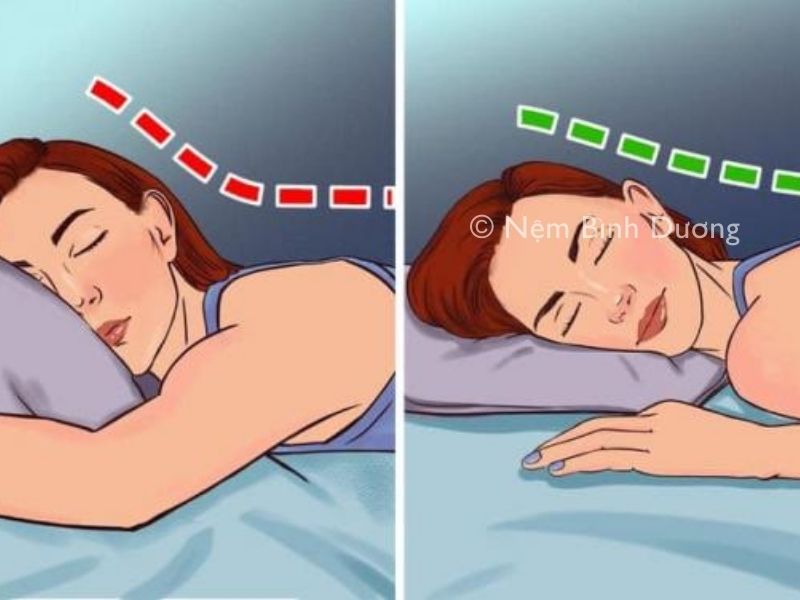 Tiêu chí lựa chọn gối nằm tốt 3 Tiêu chí lựa chọn gối nằm tốt
