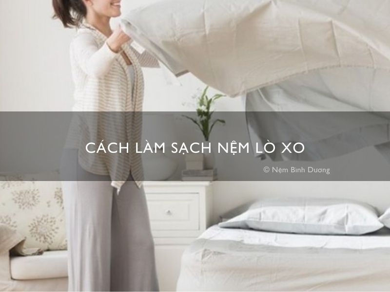 cach lam sach nem lo