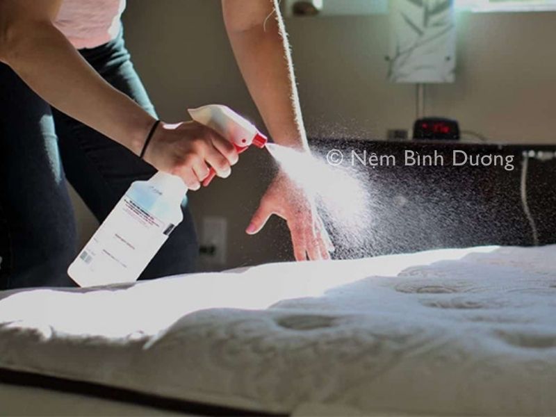 huong dan ve sinh nem bong ep don gian tai nha