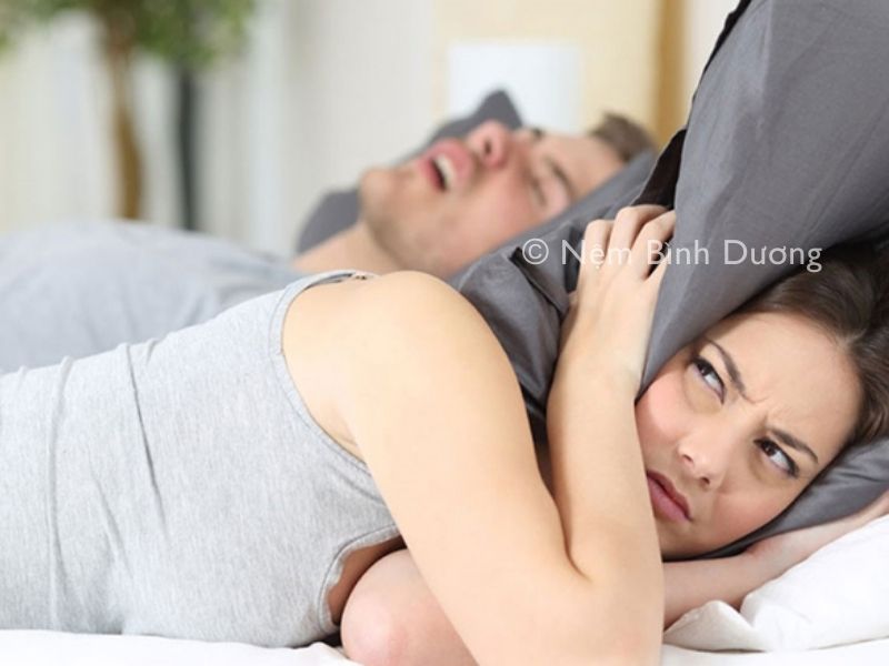 meo dan gian chua ngu ngay 1