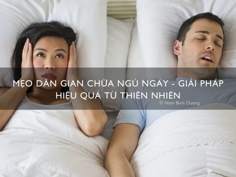 meo dan gian chua ngu ngay 3