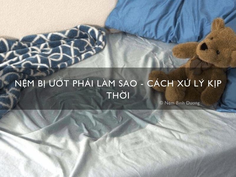 Nệm bị ướt phải làm sao - Cách xử lý kịp thời