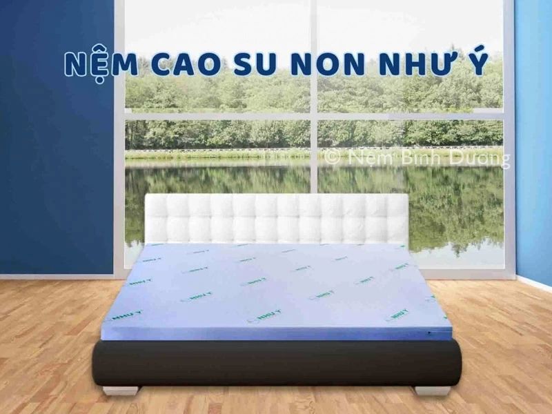 Nệm cao su non Như ý
