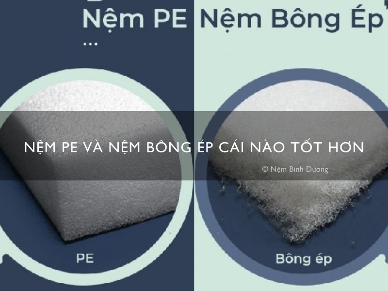 Nệm pe và nệm bông ép cái nào tốt hơn