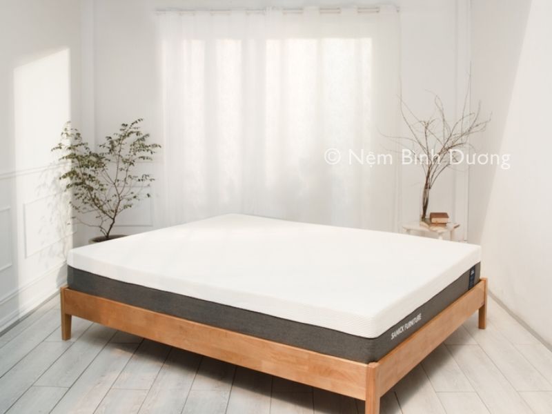 Top nệm cao su tốt nhất hiện nay 