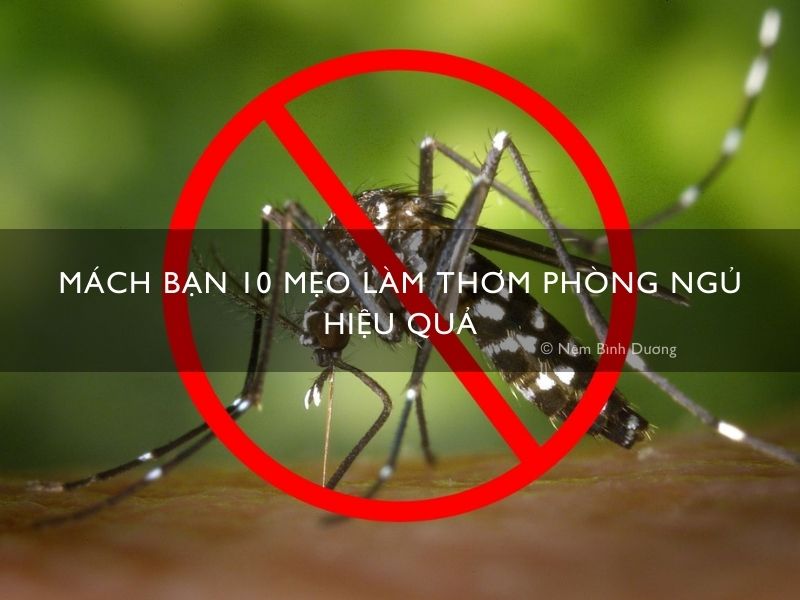 12 mẹo đuổi muỗi trong phòng ngủ hiệu quả