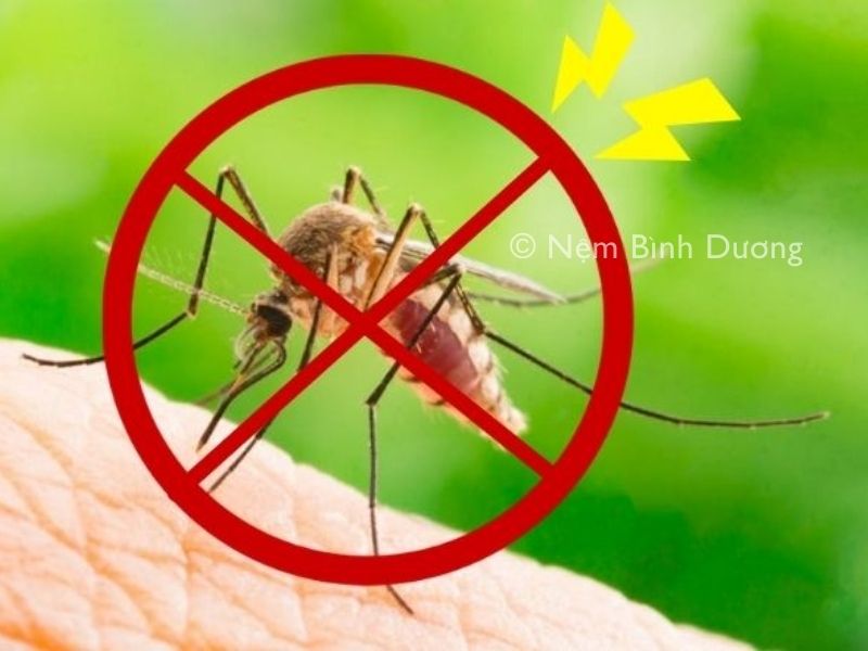 Mẹo đuổi muỗi trong phòng ngủ hiệu quả 1 Mẹo đuổi muỗi trong phòng ngủ hiệu quả