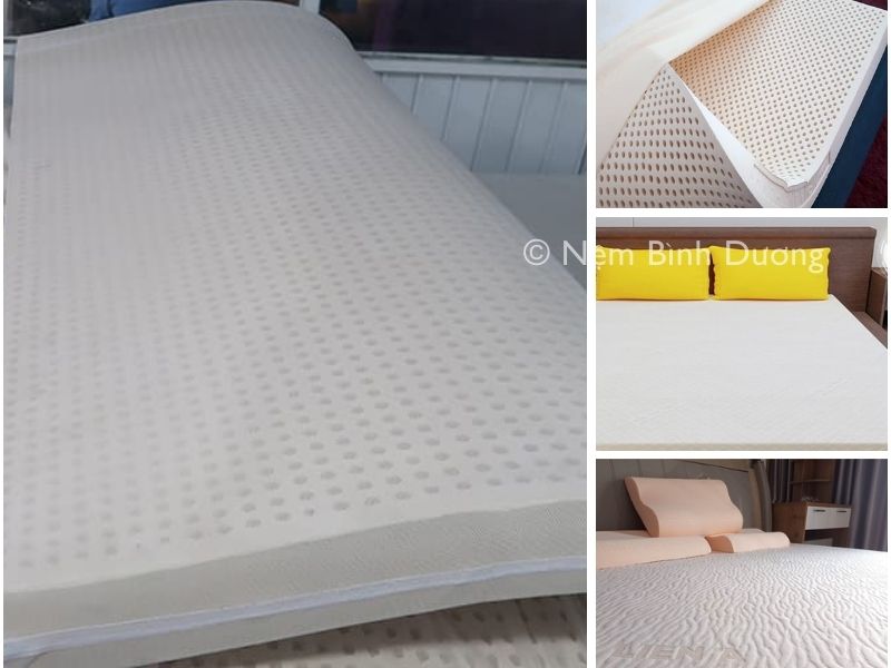 Tại sao nệm cao su thiên nhiên lại được ưa chuộng đến vậy 2 Tại sao nệm cao su thiên nhiên lại được ưa chuộng đến vậy