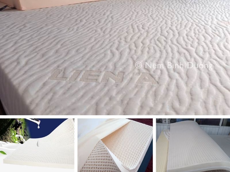Bảng so sánh các loại nệm cao su thiên nhiên 1 Bảng so sánh các loại nệm cao su thiên nhiên