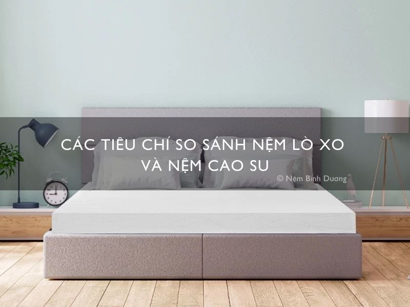 So sánh nệm lò xo và nệm cao su