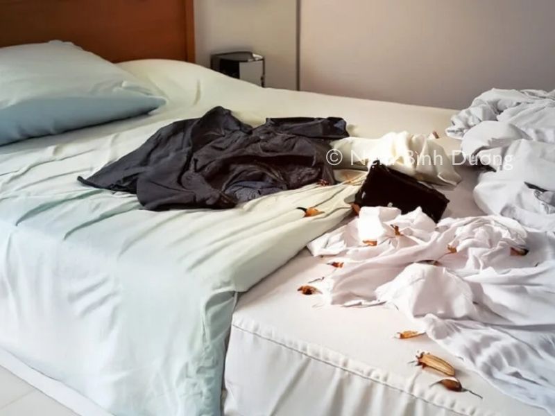 Tại sao phòng ngủ lại có mùi ẩm mốc?