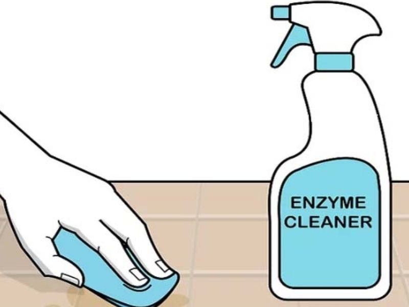 Dùng dung dịch enzyme làm sạch các vết bẩn sinh học