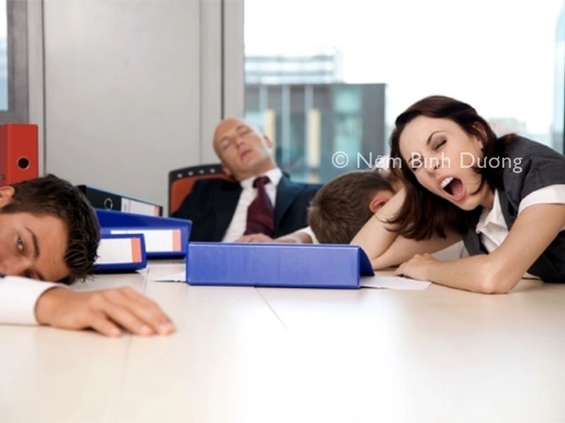 Giấc ngủ quan trọng thế nào trong việc tăng cường khả năng tập trung và năng suất làm việc