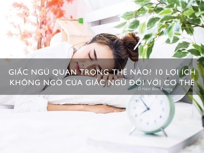 Giấc ngủ quan trọng thế nào? 10 lợi ích không ngờ của giấc ngủ đối với cơ thể