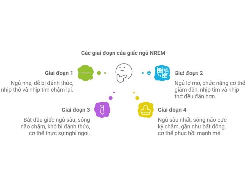 Giấc ngủ sâu nhất khi nào? Các giai đoạn của giấc ngủ (giấc ngủ NREM)