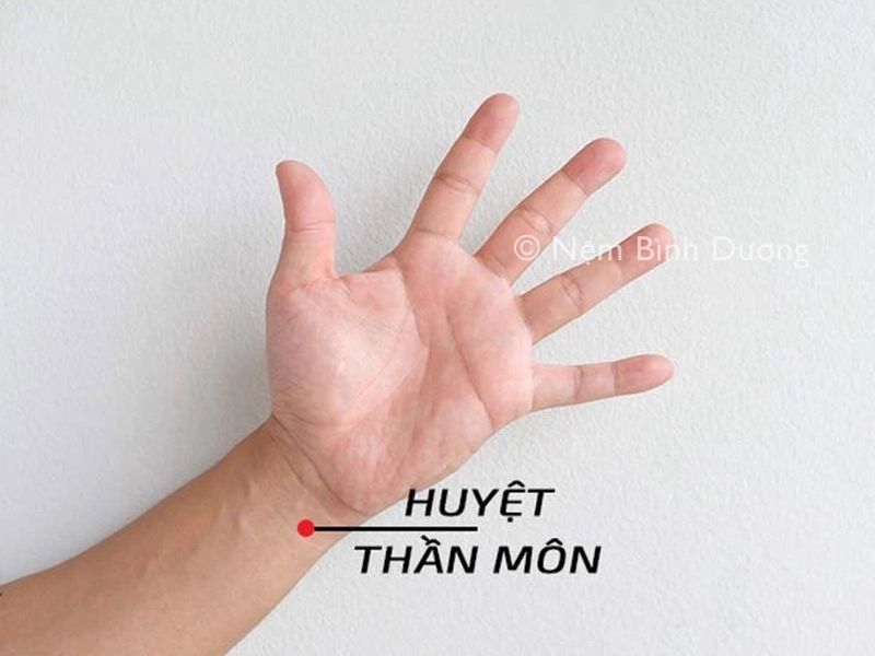 Huyệt thần môn