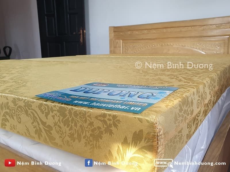 Nệm bông ép Dupong 2 Nệm bông ép Dupong