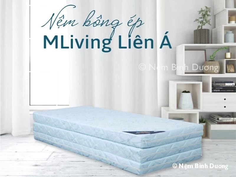 Nệm bông ép Liên Á Mliving 9 Nệm bông ép Liên Á Mliving