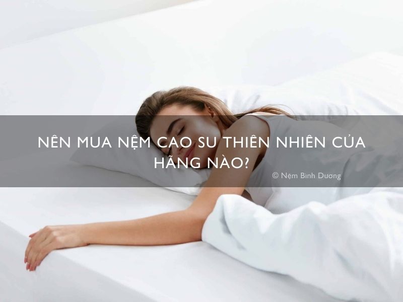 Nên mua nệm cao su thiên nhiên của hãng nào?