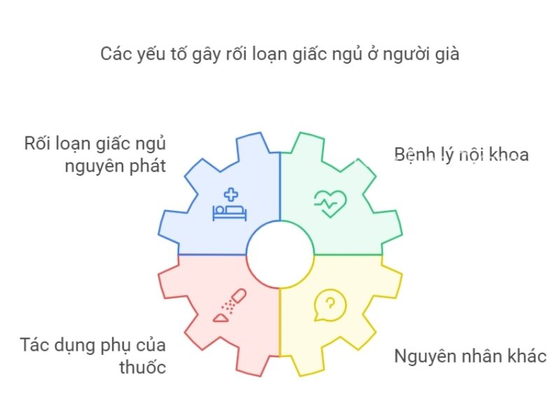 Nguyên nhân gây rối loạn giấc ngủ ở người già