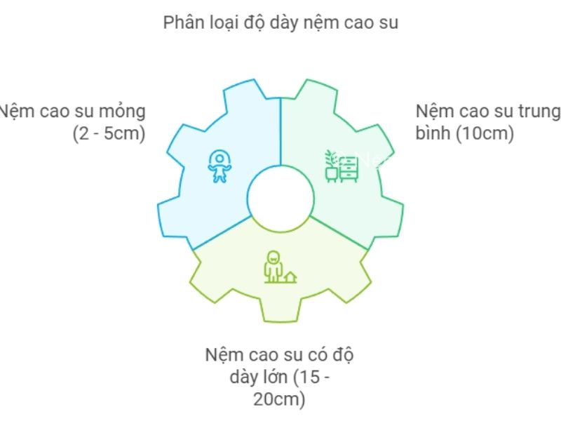 Các độ dày phổ biến của nệm cao su hiện nay