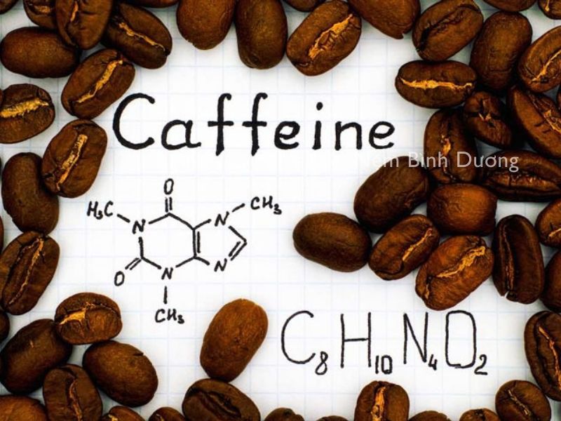 Tránh caffeine và theine