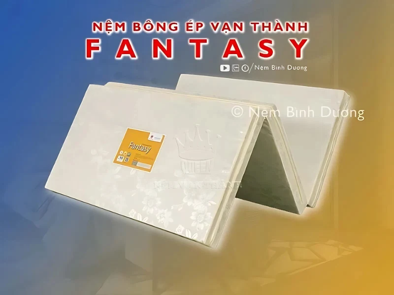 Nệm bông ép Vạn Thành Fantasy – Nệm ngủ gấp gọn