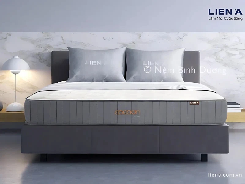Top 05 Các Hãng Nệm Uy Tín