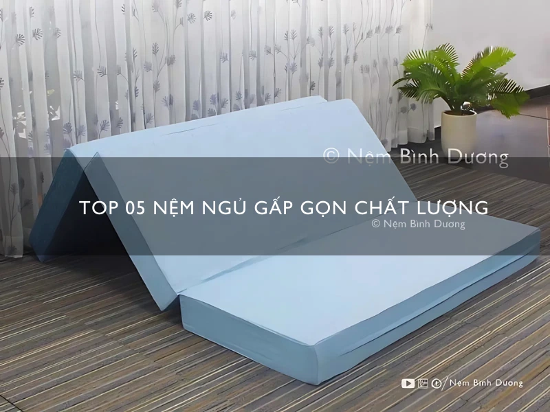 Top 05 Nệm Ngủ Gấp Gọn Chất Lượng