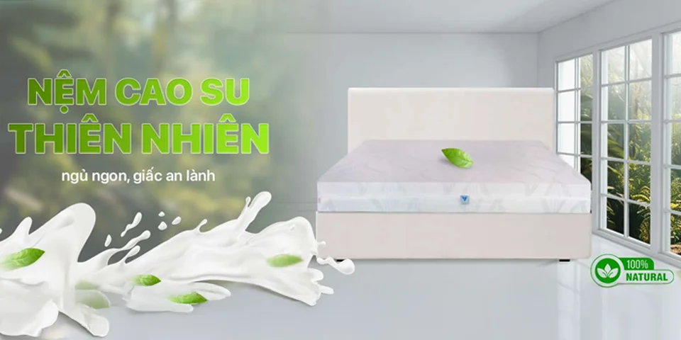 Nệm cao su Aroma