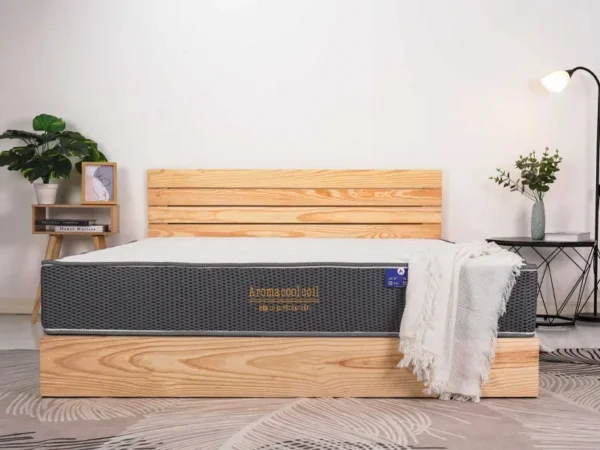 Review nệm lò xo Aroma Cool Coil 2 viền