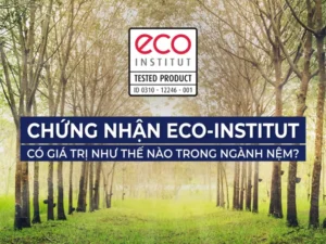 Chứng Nhận Eco Là Gì?