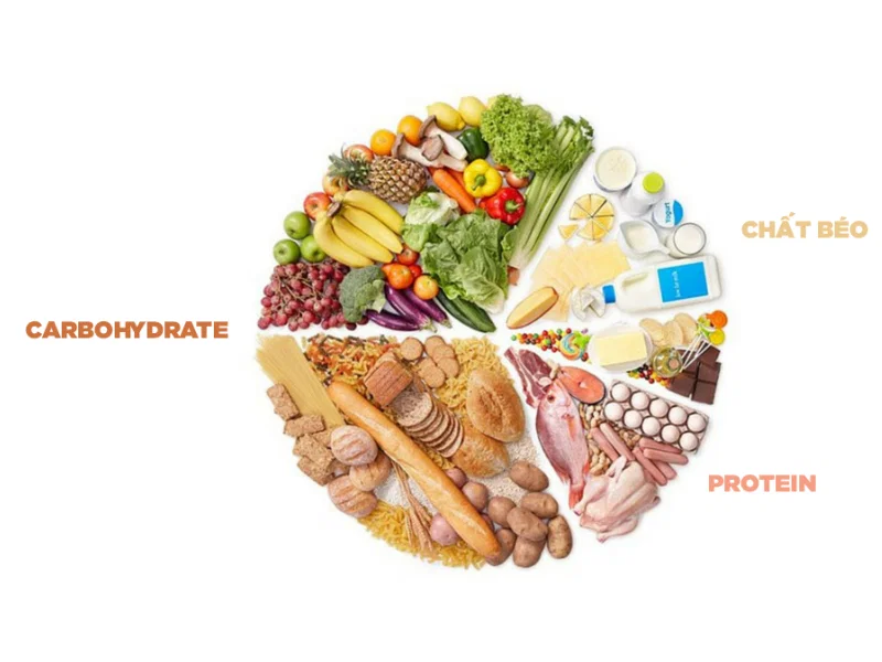 Kết hợp carbohydrate với protein hoặc chất béo lành mạnh 4 Kết hợp carbohydrate với protein hoặc chất béo lành mạnh